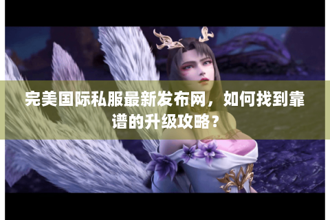 完美国际私服最新发布网，如何找到靠谱的升级攻略？