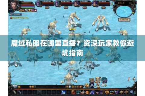 魔域私服在哪里直播？资深玩家教你避坑指南