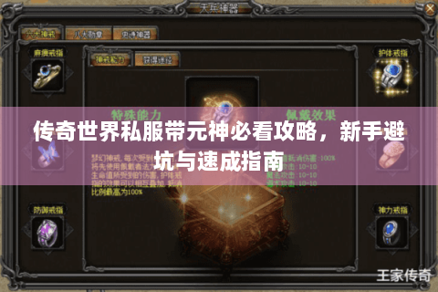传奇世界私服带元神必看攻略，新手避坑与速成指南