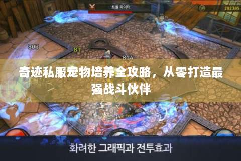 奇迹私服宠物培养全攻略，从零打造最强战斗伙伴