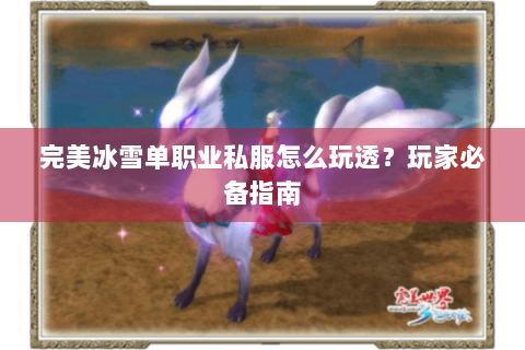 完美冰雪单职业私服怎么玩透？玩家必备指南