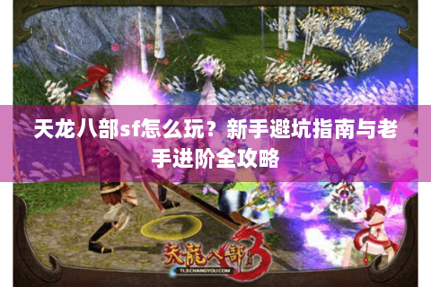 天龙八部sf怎么玩？新手避坑指南与老手进阶全攻略