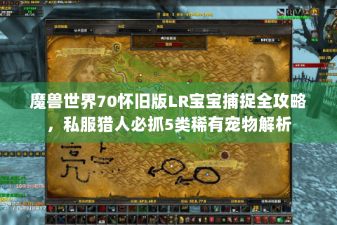 魔兽世界70怀旧版LR宝宝捕捉全攻略，私服猎人必抓5类稀有宠物解析