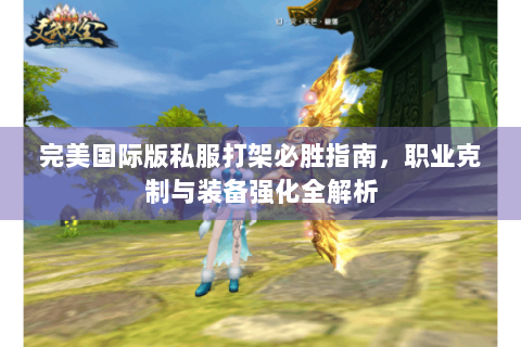 完美国际版私服打架必胜指南，职业克制与装备强化全解析