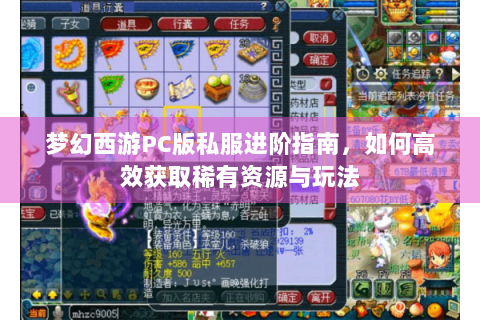 梦幻西游PC版私服进阶指南，如何高效获取稀有资源与玩法