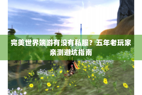 完美世界端游有没有私服？五年老玩家亲测避坑指南