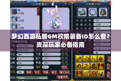 梦幻西游私服GM权限装备ID怎么查？资深玩家必备指南