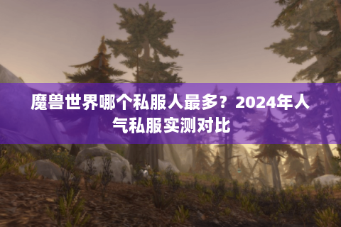 魔兽世界哪个私服人最多？2024年人气私服实测对比