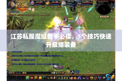 江苏私服魔域新手必读，5个技巧快速升级爆装备