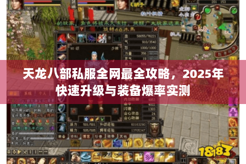 天龙八部私服全网最全攻略，2025年快速升级与装备爆率实测