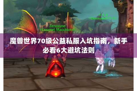魔兽世界70级公益私服入坑指南，新手必看6大避坑法则