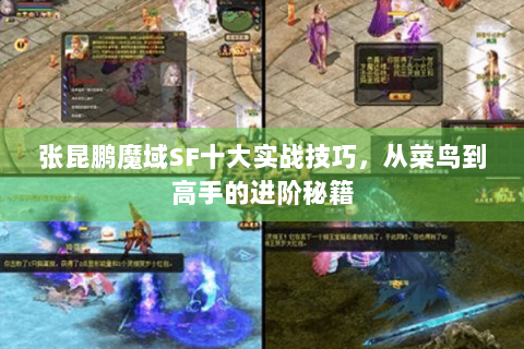 张昆鹏魔域SF十大实战技巧，从菜鸟到高手的进阶秘籍