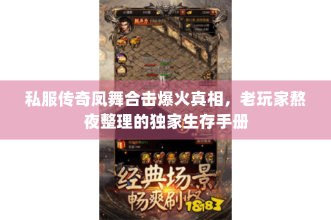 私服传奇凤舞合击爆火真相，老玩家熬夜整理的独家生存手册