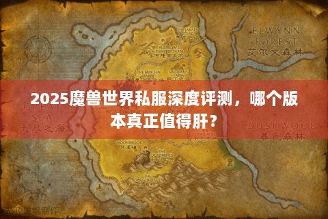 2025魔兽世界私服深度评测，哪个版本真正值得肝？