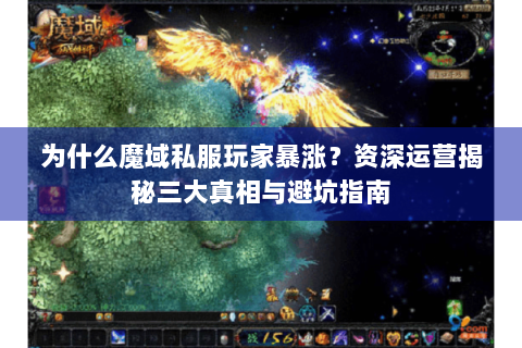 为什么魔域私服玩家暴涨？资深运营揭秘三大真相与避坑指南