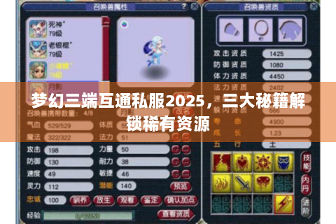 梦幻三端互通私服2025，三大秘籍解锁稀有资源