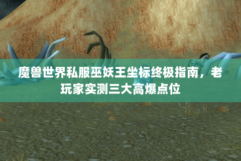 魔兽世界私服巫妖王坐标终极指南，老玩家实测三大高爆点位