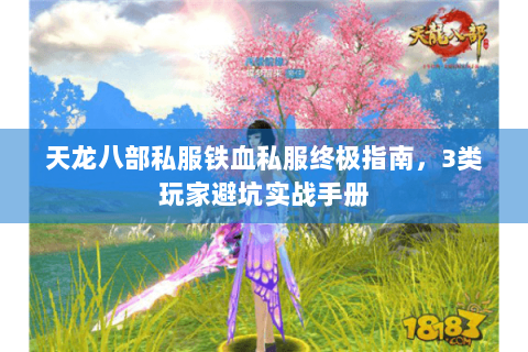 天龙八部私服铁血私服终极指南，3类玩家避坑实战手册