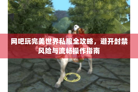 网吧玩完美世界私服全攻略，避开封禁风险与流畅操作指南