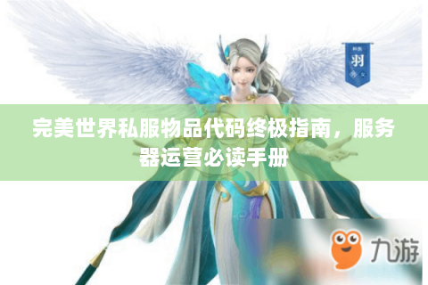 完美世界私服物品代码终极指南，服务器运营必读手册