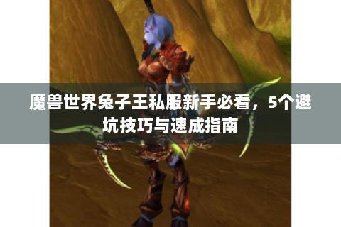 魔兽世界兔子王私服新手必看，5个避坑技巧与速成指南