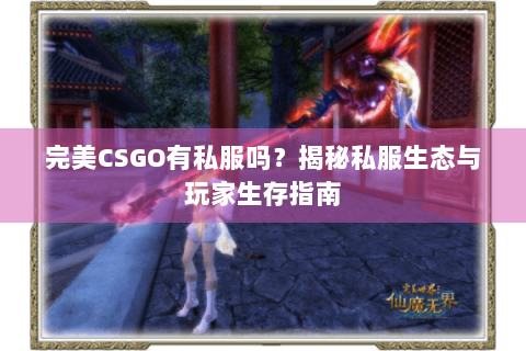 完美CSGO有私服吗？揭秘私服生态与玩家生存指南