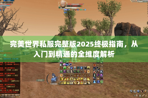 完美世界私服完整版2025终极指南，从入门到精通的全维度解析