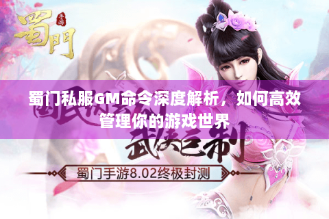蜀门私服GM命令深度解析，如何高效管理你的游戏世界