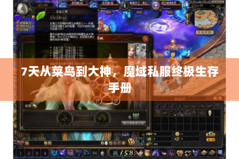 7天从菜鸟到大神，魔域私服终极生存手册