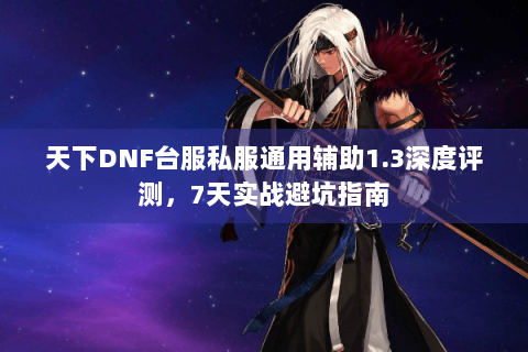 天下DNF台服私服通用辅助1.3深度评测，7天实战避坑指南