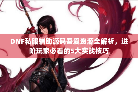 DNF私服辅助源码吾爱资源全解析，进阶玩家必看的5大实战技巧