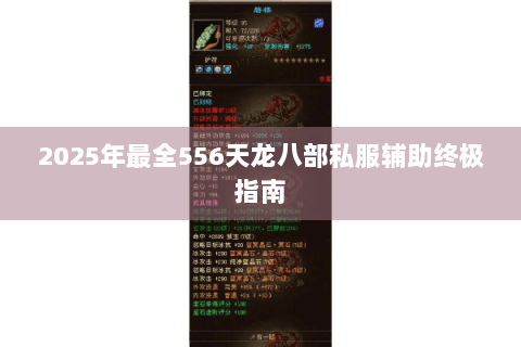 2025年最全556天龙八部私服辅助终极指南