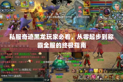 私服奇迹黑龙玩家必看，从零起步到称霸全服的终极指南