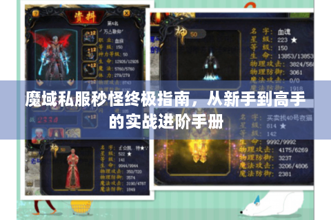 魔域私服秒怪终极指南，从新手到高手的实战进阶手册