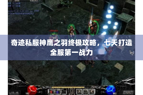 奇迹私服神鹰之羽终极攻略，七天打造全服第一战力