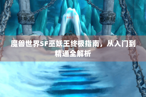魔兽世界SF巫妖王终极指南，从入门到精通全解析