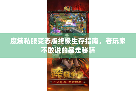 魔域私服变态版终极生存指南，老玩家不敢说的暴走秘籍