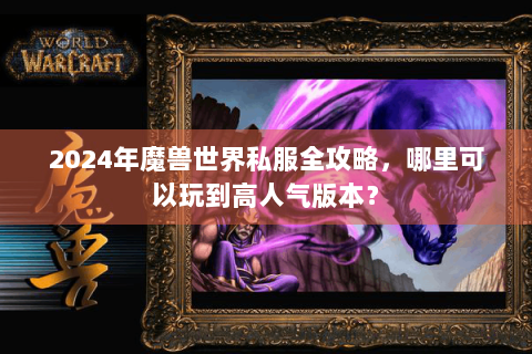 2024年魔兽世界私服全攻略，哪里可以玩到高人气版本？