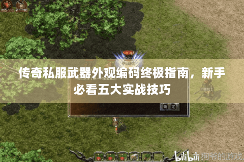 传奇私服武器外观编码终极指南，新手必看五大实战技巧