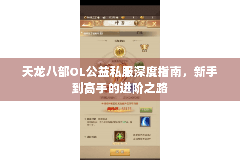 天龙八部OL公益私服深度指南，新手到高手的进阶之路