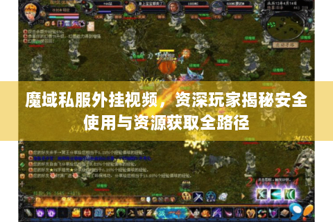 魔域私服外挂视频，资深玩家揭秘安全使用与资源获取全路径
