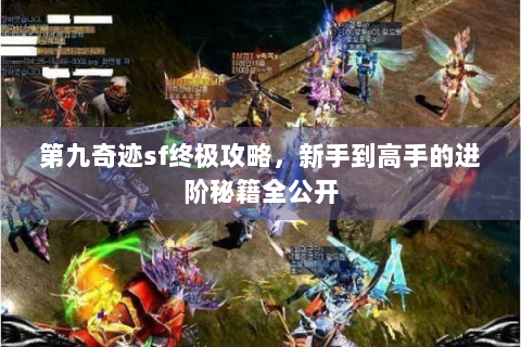 第九奇迹sf终极攻略，新手到高手的进阶秘籍全公开