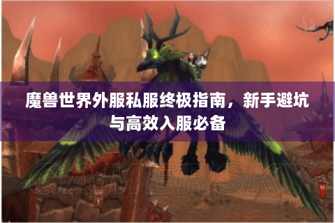 魔兽世界外服私服终极指南，新手避坑与高效入服必备