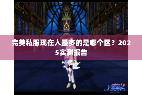 完美私服现在人最多的是哪个区？2025实测报告