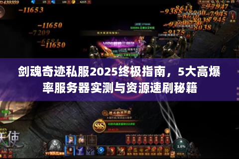 剑魂奇迹私服2025终极指南，5大高爆率服务器实测与资源速刷秘籍