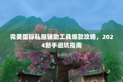 完美国际私服辅助工具爆款攻略，2024新手避坑指南