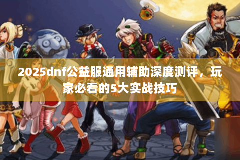 2025dnf公益服通用辅助深度测评，玩家必看的5大实战技巧