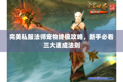 完美私服法师宠物终极攻略，新手必看三大速成法则