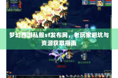 梦幻西游私服sf发布网，老玩家避坑与资源获取指南