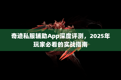 奇迹私服辅助App深度评测，2025年玩家必看的实战指南
